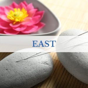 Blog resource category: East. Lotus flower and acupuncture needles